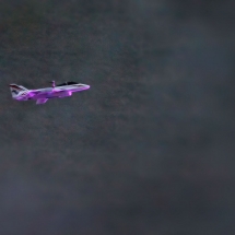 IMG_1314 fm IMG_1314 fm