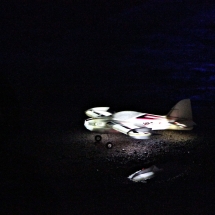 IMG_1413 fm IMG_1413 fm